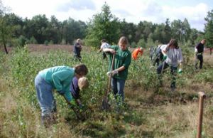 Bildauschnitt Helfer bei der Heidepflege Bildauschnitt Helfer bei der Heidepflege