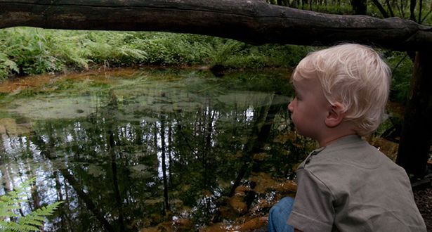 Nahaufnahme kleiner Junge in der Hocke mit Blick auf die Schwindequelle