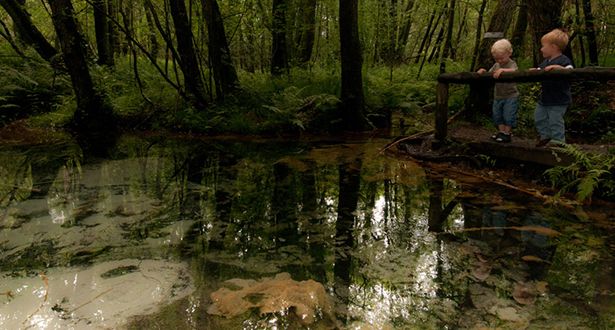 Zwei kleine Jungen blicken auf die Schwindequelle