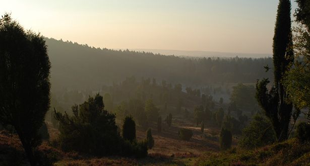 Heidetal Totengrund mit leichten Nebelschwaden