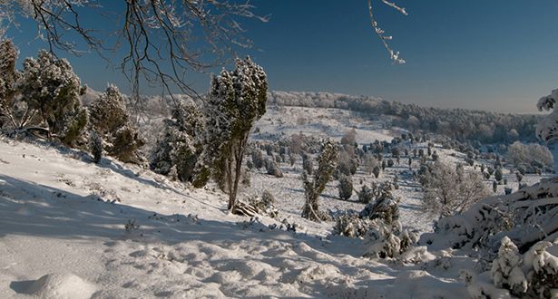 Blick auf schneebedeckte Heideflächen, Heidetal Totengrund