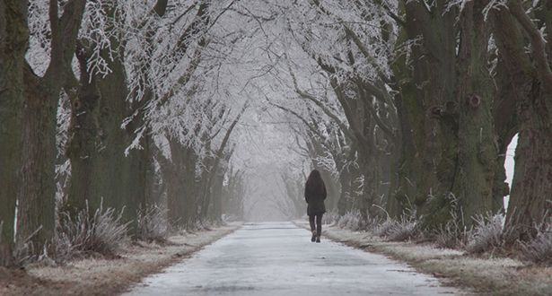 Bildausschnitt einer Baumallee im Winter. Die Bäume sind mit Schnee bedeckt.
