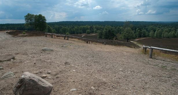 Panoramablick über die Heidelandschaft Brunsberg