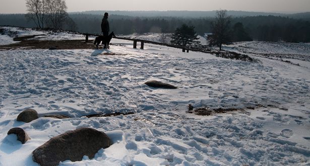 Panoramablick über die schneebedeckte Heidelandschaft Brunsberg