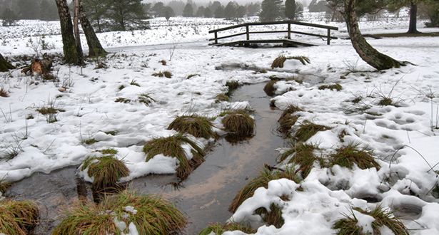 Ein Bach fließt durch schneebedeckte Landschaft im Büsenbachtal