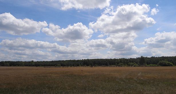 Camp Reinsehle bei leicht bewölktem Himmel