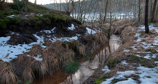 Melbecker Moor mit Schnee bedeckt