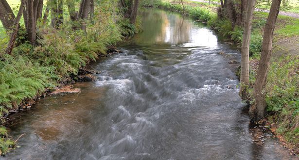 Blick auf den Flussverlauf der Seeve