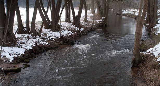 Die Seeve verläuft durch ein schneebedecktes Wiesenstück