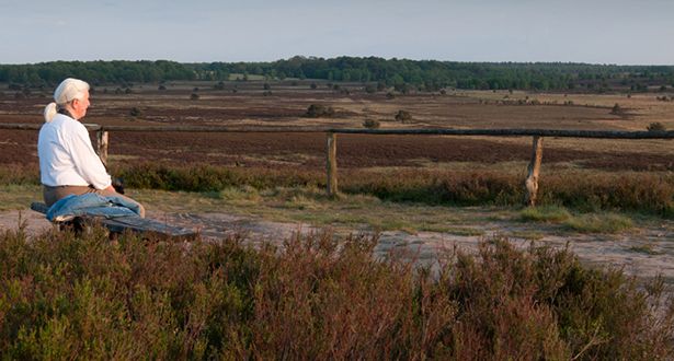 Detailaufnahme eine ältere Frau sitzt auf einer Bank und blickt auf die Heide