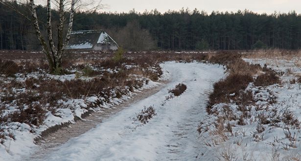 Wanderweg durch die Töpsheide mit Schnee bedeckt.
