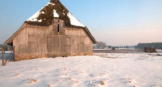 Nahaufnahme reetgedeckter Schafstall mit Schnee bedeckt