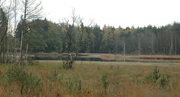 Panoramablick auf den Weiher Ahlftener Flatt und Umgebung